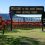 My Favorite Wine Experience – Napa Valley Auction