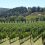 Napa Family Style