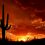 Wineries in Tucson, Arizona