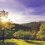 6 Completely Free Adventures in Sonoma Wine Country